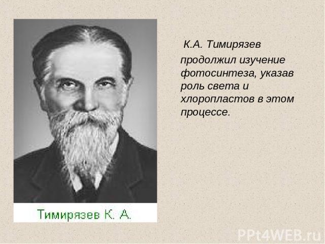 К.А. Тимирязев продолжил изучение фотосинтеза, указав роль света и хлоропластов в этом процессе.