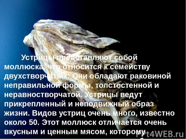 Устрицы представляют собой моллюска, что относится к семейству двухстворчатых. Они обладают раковиной неправильной формы, толстостенной и неравностворчатой. Устрицы ведут прикрепленный и неподвижный образ жизни. Видов устриц очень много, известно ок…