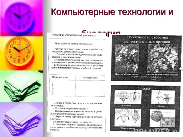 Компьютерные технологии и биология