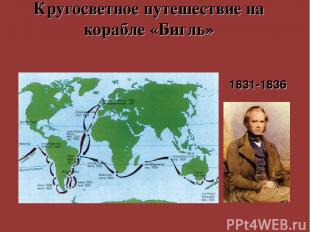 Кругосветное путешествие на корабле «Бигль» 1831-1836