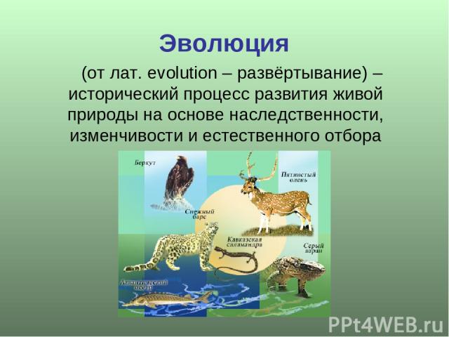 Эволюция (от лат. evolution – развёртывание) – исторический процесс развития живой природы на основе наследственности, изменчивости и естественного отбора