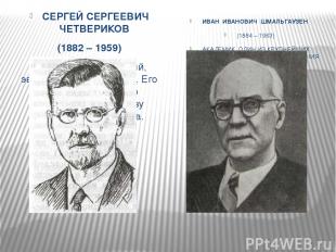 СЕРГЕЙ СЕРГЕЕВИЧ ЧЕТВЕРИКОВ (1882 – 1959) Отечественный ученый, эволюционист и г