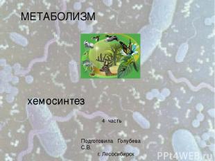 МЕТАБОЛИЗМ хемосинтез Подготовила Голубева С.В. г. Лесосибирск 4 часть