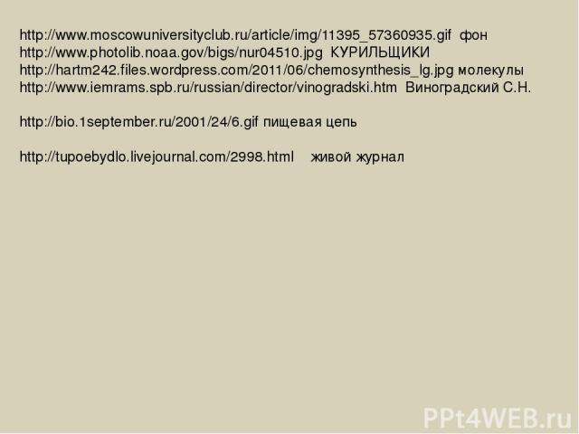 http://www.moscowuniversityclub.ru/article/img/11395_57360935.gif фон http://www.photolib.noaa.gov/bigs/nur04510.jpg КУРИЛЬЩИКИ http://hartm242.files.wordpress.com/2011/06/chemosynthesis_lg.jpg молекулы http://www.iemrams.spb.ru/russian/director/vin…
