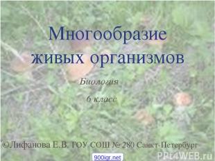 Многообразие живых организмов ©Лифанова Е.В. ГОУ СОШ № 280 Санкт-Петербург Биоло