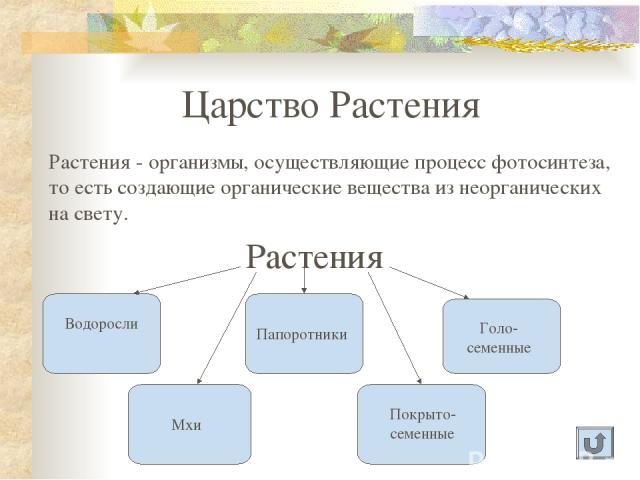 Царство Растения Растения - организмы, осуществляющие процесс фотосинтеза, то есть создающие органические вещества из неорганических на свету. Растения Водоросли Мхи Папоротники Голо-семенные Покрыто-семенные