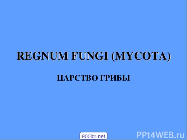 REGNUM FUNGI (MYCOTA) ЦАРСТВО ГРИБЫ 900igr.net