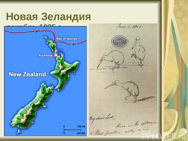 Новая Зеландия декабрь 1835 г.