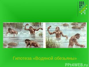 Гипотеза «Водяной обезьяны»