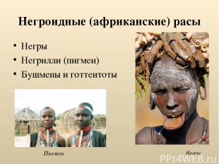 Негроидные (африканские) расы Негры Негрилли (пигмеи) Бушмены и готтентоты Негры