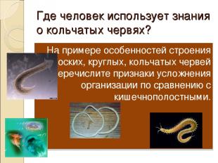 Где человек использует знания о кольчатых червях? На примере особенностей строен