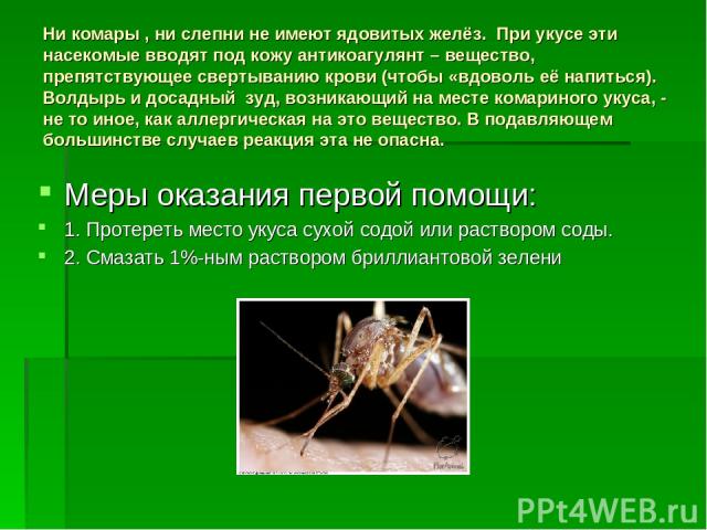 Ни комары , ни слепни не имеют ядовитых желёз. При укусе эти насекомые вводят под кожу антикоагулянт – вещество, препятствующее свертыванию крови (чтобы «вдоволь её напиться). Волдырь и досадный зуд, возникающий на месте комариного укуса, - не то ин…