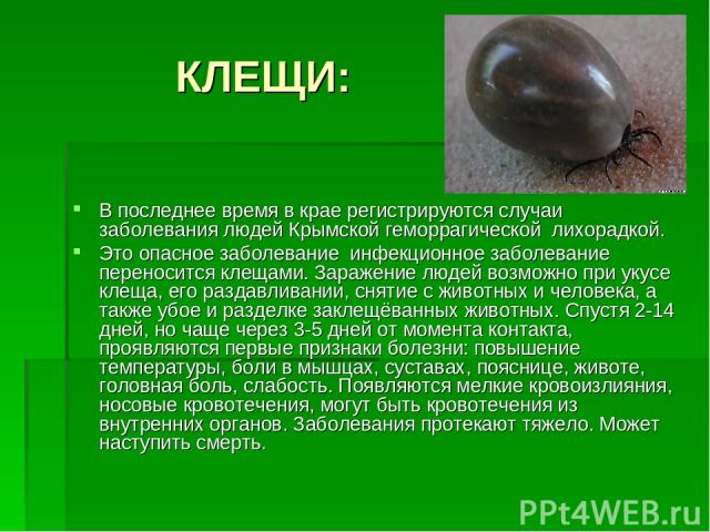 КЛЕЩИ: В последнее время в крае регистрируются случаи заболевания людей Крымской геморрагической лихорадкой. Это опасное заболевание инфекционное заболевание переносится клещами. Заражение людей возможно при укусе клеща, его раздавливании, снятие с …