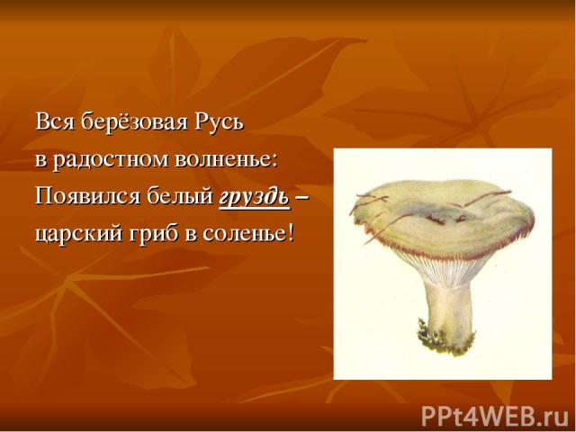Вся берёзовая Русь в радостном волненье: Появился белый груздь – царский гриб в соленье!