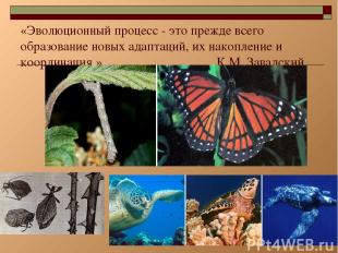 * «Эволюционный процесс - это прежде всего образование новых адаптаций, их накоп