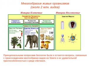 Многообразие живых организмов (около 2 млн. видов) Принципиальными вопросами био