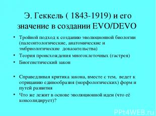 Э. Геккель ( 1843-1919) и его значение в создании EVO/DEVO Тройной подход к созд