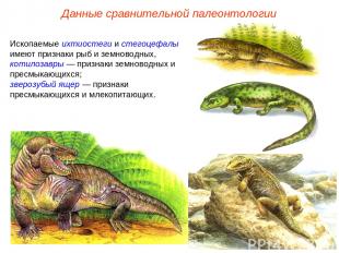 Ископаемые ихтиостеги и стегоцефалы имеют признаки рыб и земноводных, котилозавр