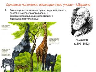 Основные положения эволюционного учения Ч.Дарвина Ч.Дарвин (1809 -1882) Возникну