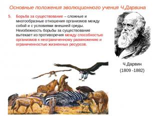 Основные положения эволюционного учения Ч.Дарвина Ч.Дарвин (1809 -1882) Борьба з