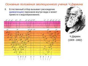Основные положения эволюционного учения Ч.Дарвина Ч.Дарвин (1809 -1882) Естестве