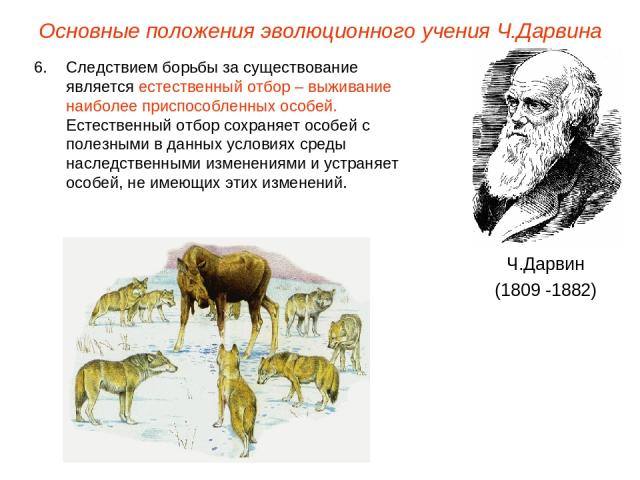 Основные положения эволюционного учения Ч.Дарвина Ч.Дарвин (1809 -1882) Следствием борьбы за существование является естественный отбор – выживание наиболее приспособленных особей. Естественный отбор сохраняет особей с полезными в данных условиях сре…