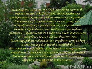 Экспозиционный комплекс «Экологическая тропа» в ботаническом саду Пермского госу