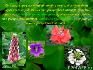 Для некоторых семейств цветковых растений может быть характерен определенный тип