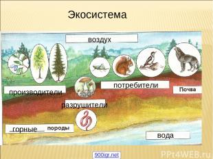 воздух производители потребители разрушители вода горные Экосистема 900igr.net