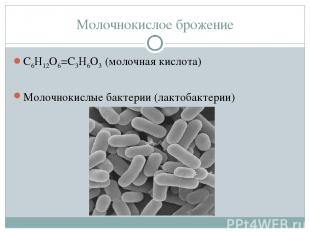 Молочнокислое брожение С6Н12О6=С3Н6О3 (молочная кислота) Молочнокислые бактерии