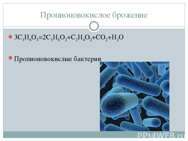 Пропионовокислое брожение 3С3Н6О3=2С3Н6О2+С2Н4О2+СО2+Н2О Пропионовокислые бактерии