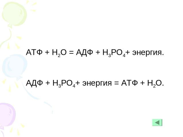 АТФ + Н2О = АДФ + Н3РО4+ энергия. АДФ + Н3РО4+ энергия = АТФ + Н2О.