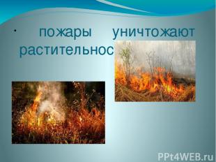 пожары уничтожают растительность