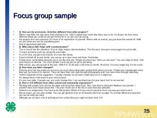 Focus group sample Q. How are the arts/comm. Activities different from other pro