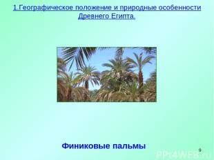 * Финиковые пальмы 1.Географическое положение и природные особенности Древнего Е