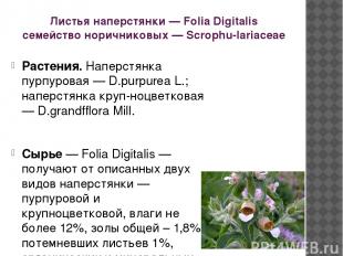 Листья наперстянки — Folia Digitalis семейство норичниковых — Scrophu-lariaceae