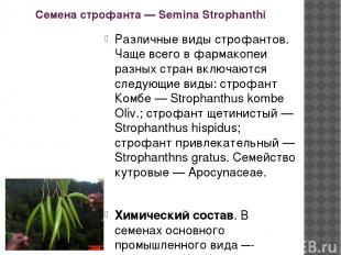 Семена строфанта — Semina Strophanthi Различные виды строфантов. Чаще всего в фа