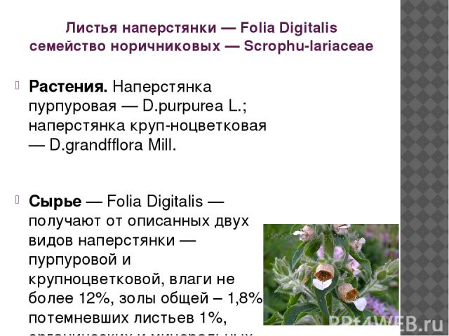 Листья наперстянки — Folia Digitalis семейство норичниковых — Scrophu-lariaceae Растения. Наперстянка пурпуровая — D.purpurea L.; наперстянка круп-ноцветковая — D.grandfflora Mill. Сырье — Folia Digitalis — получают от описанных двух видов наперстян…