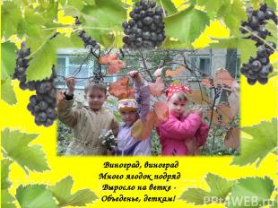 Виноград, виноград Много ягодок подряд Выросло на ветке - Объеденье, деткам!