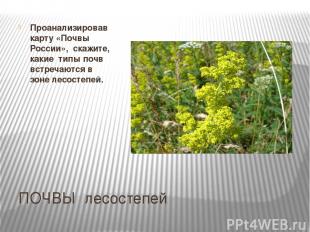 ПОЧВЫ лесостепей Проанализировав карту «Почвы России», скажите, какие типы почв