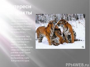 Интересные факты Уссурийскому тигру посвящены сказка Юрия Коваля и мультфильм Ле