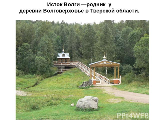 Исток Волги —родник  у деревни Волговерховье в Тверской области.