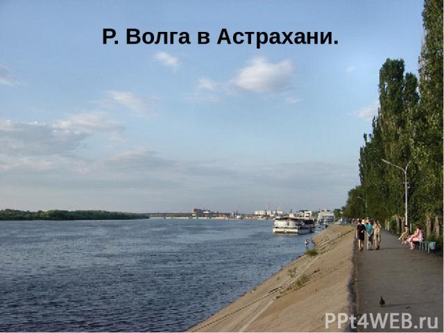 Р. Волга в Астрахани.