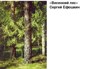 «Весенний лес» Сергей Ефошкин