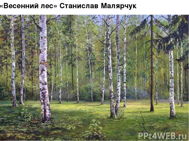 «Весенний лес» Станислав Малярчук