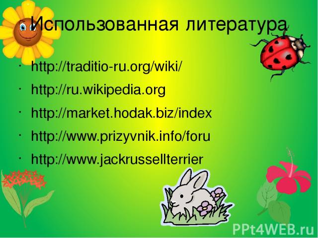 Использованная литература http://traditio-ru.org/wiki/ http://ru.wikipedia.org http://market.hodak.biz/index http://www.prizyvnik.info/foru http://www.jackrussellterrier