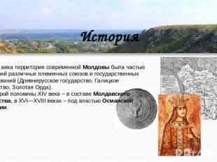 История До XIV века территория современной Молдовы была частью владений различны