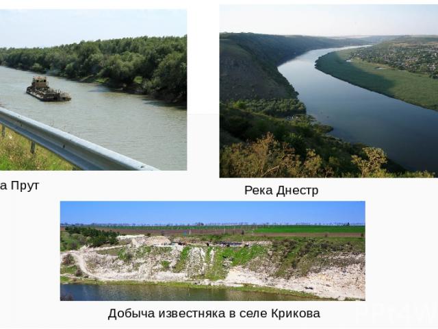Река Прут Река Днестр Добыча известняка в селе Крикова