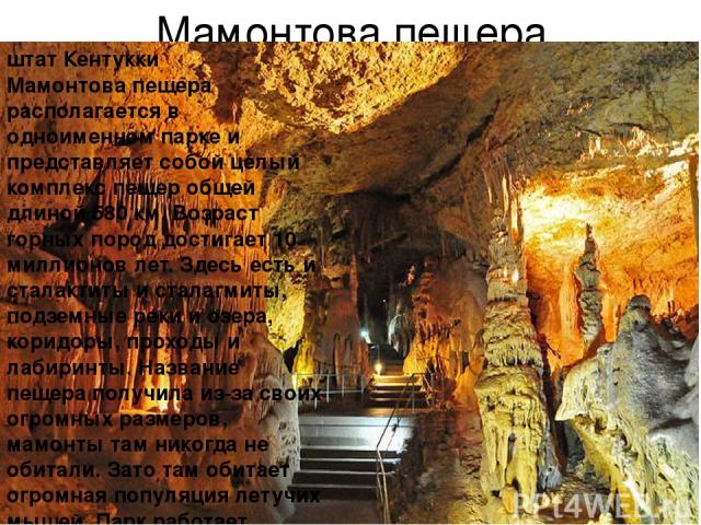 Мамонтова пещера штат Кентукки Мамонтова пещера располагается в одноименном парке и представляет собой целый комплекс пещер общей длиной 580 км. Возраст горных пород достигает 10 миллионов лет. Здесь есть и сталактиты и сталагмиты, подземные реки и …