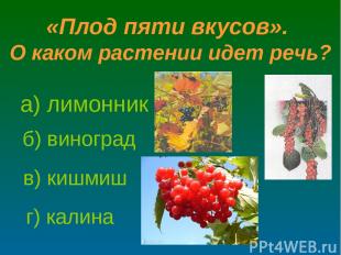 а) лимонник б) виноград в) кишмиш г) калина «Плод пяти вкусов». О каком растении